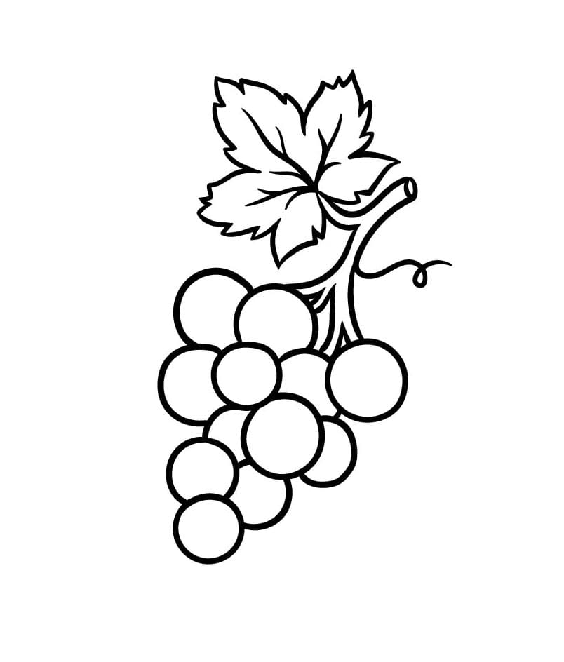 Come disegnare uva passo (8)