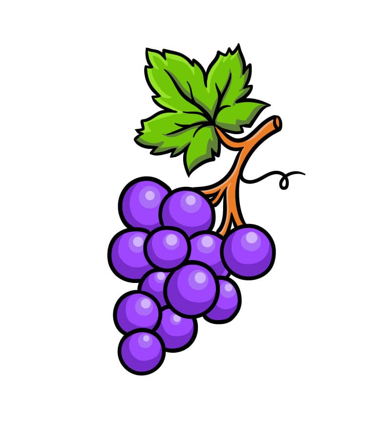 Come Disegnare Uva da colorare