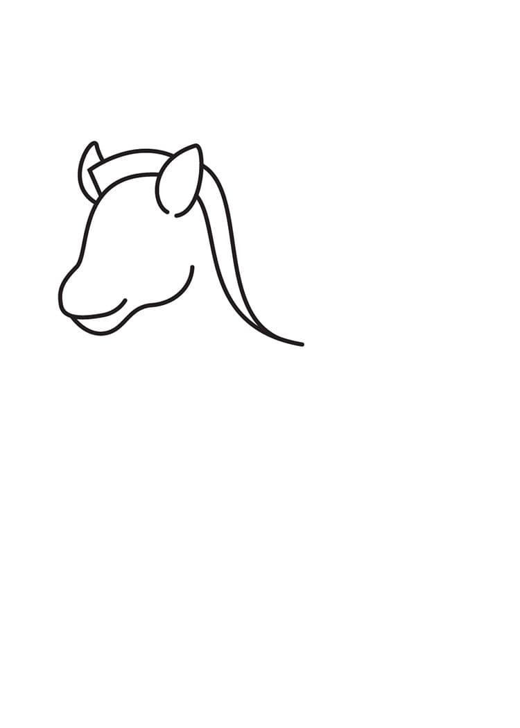 Come disegnare zebra passo (3)