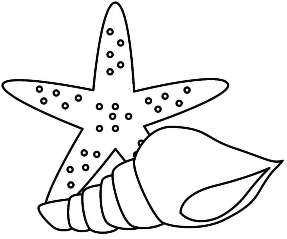 Conchiglia Gratuita da Stampare da colorare