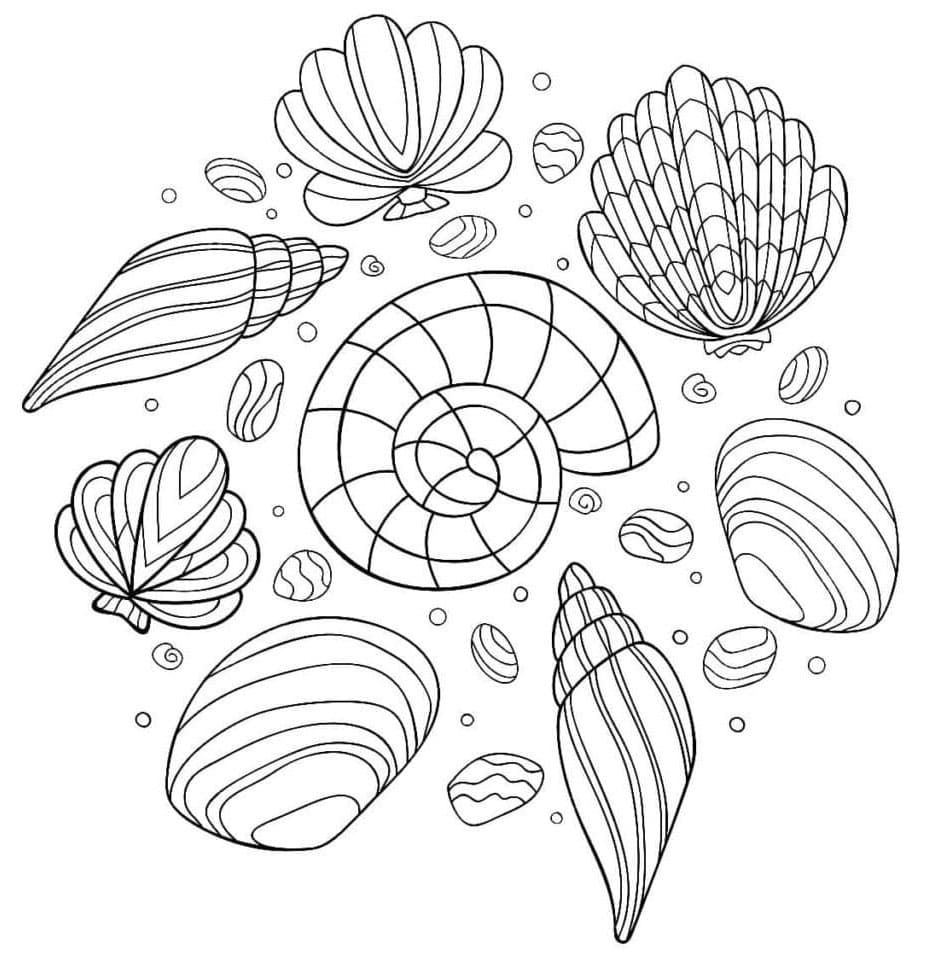 Conchiglia Gratuita da colorare