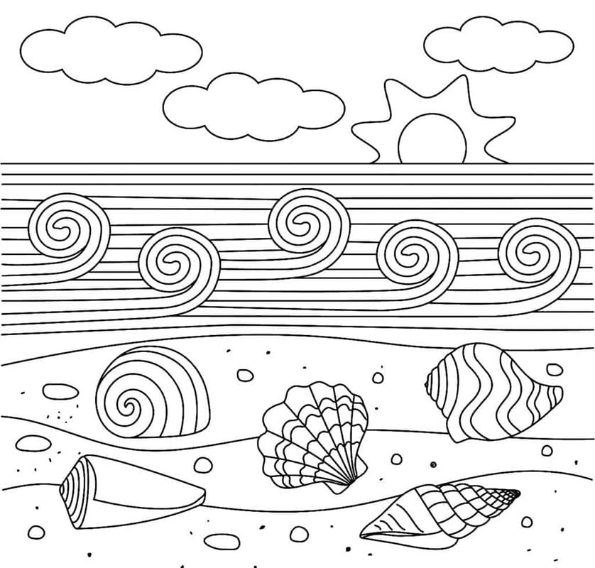 Conchiglia Semplice da colorare