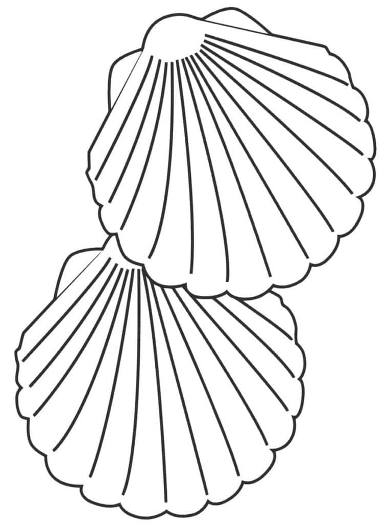 Conchiglia Stampabile a Costo Zero da colorare