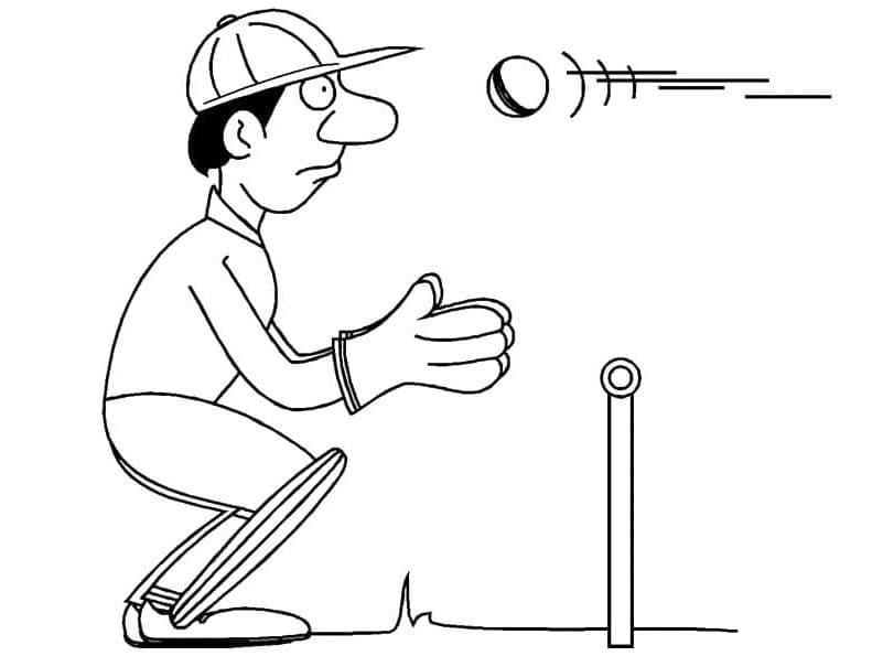 Cricket Base da colorare