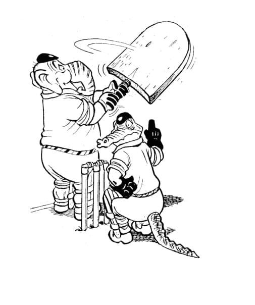 Cricket per Bambini di 2 Anni da colorare