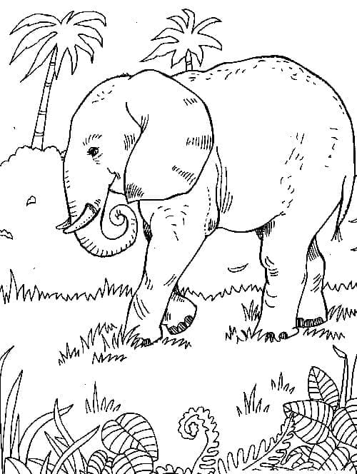 Elefante Gratis per Bambini da colorare