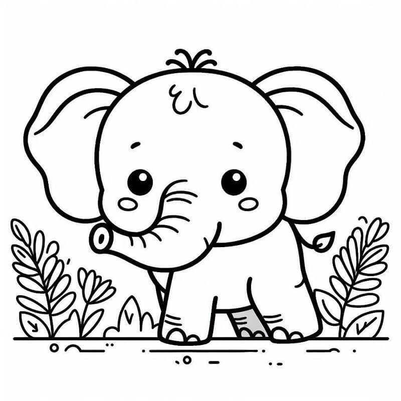 Elefanti da colorare