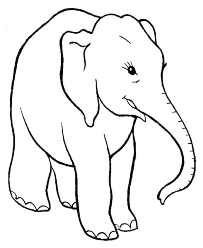 Elefante per Bambini di 1 Anno da colorare