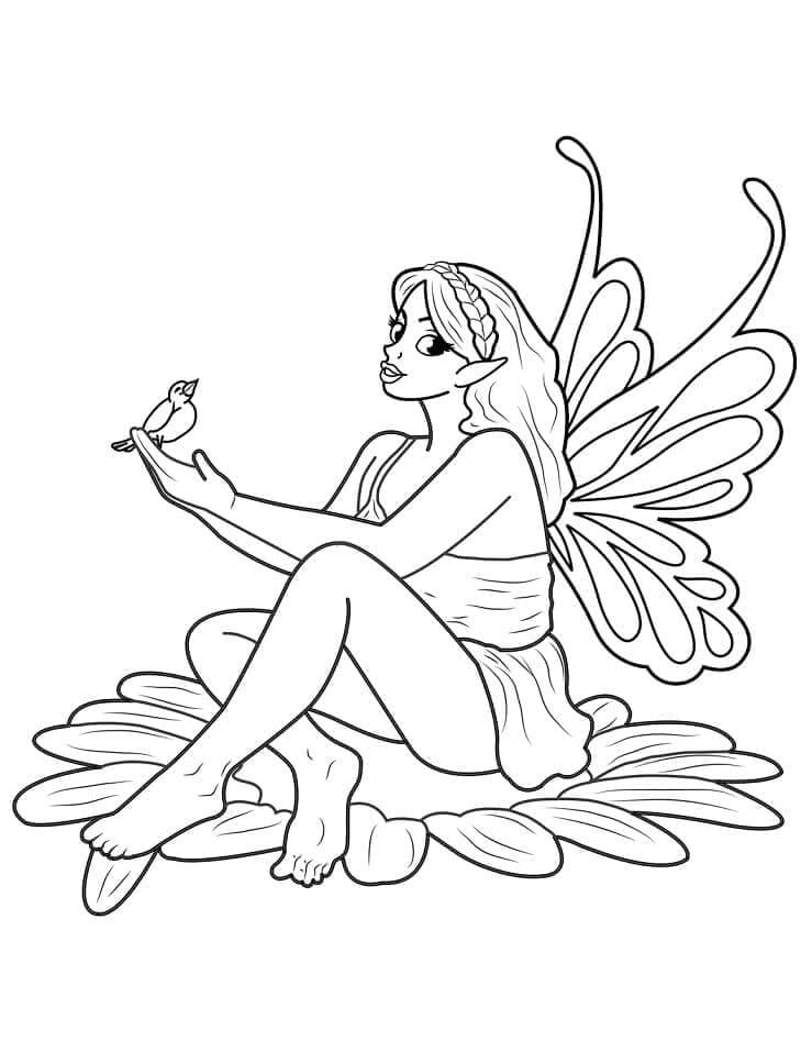 Fata Bellissimo da colorare