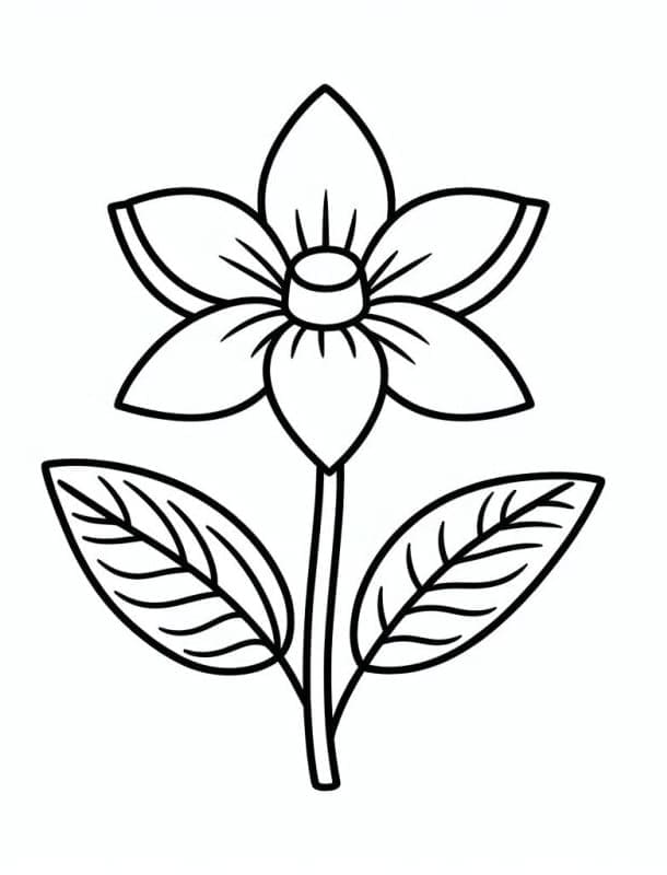 Fiore Libero da colorare