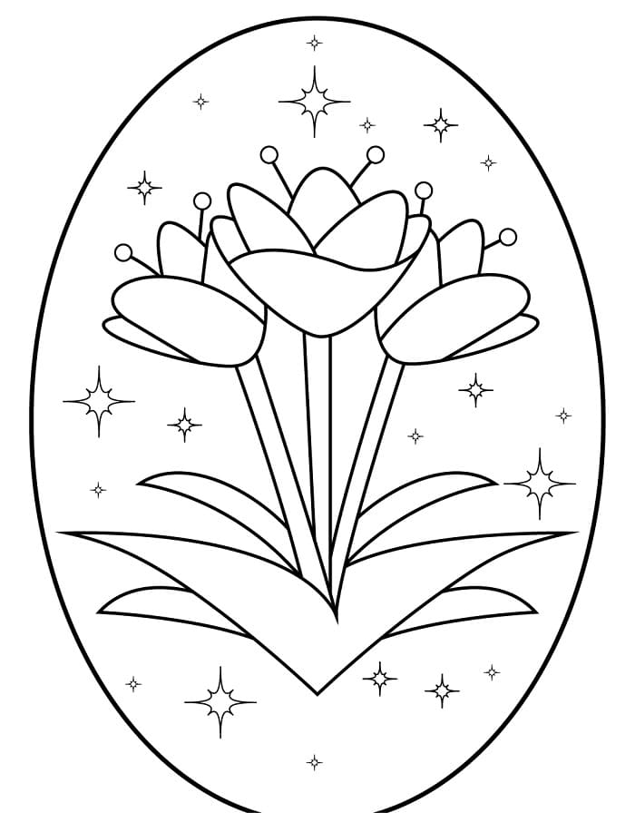 Fiore di Tulipano da colorare