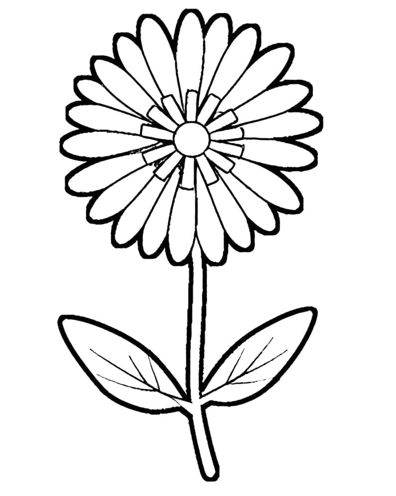 Fiore per Bambini di 1 Anno da colorare
