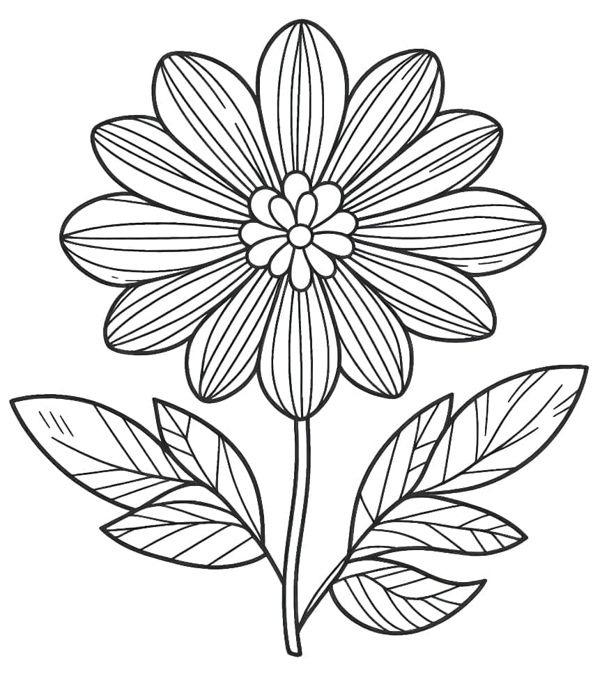 Fiore per Bambini di 5 Anni da colorare