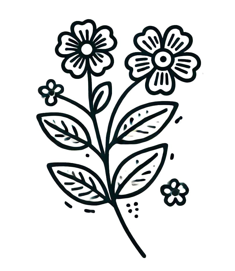 Fiori (2) da colorare