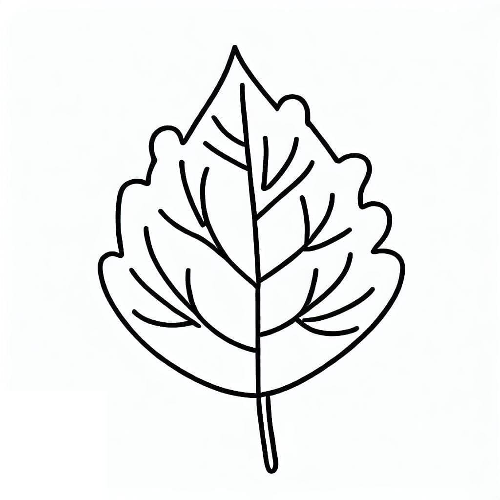 Foglia (1) da colorare