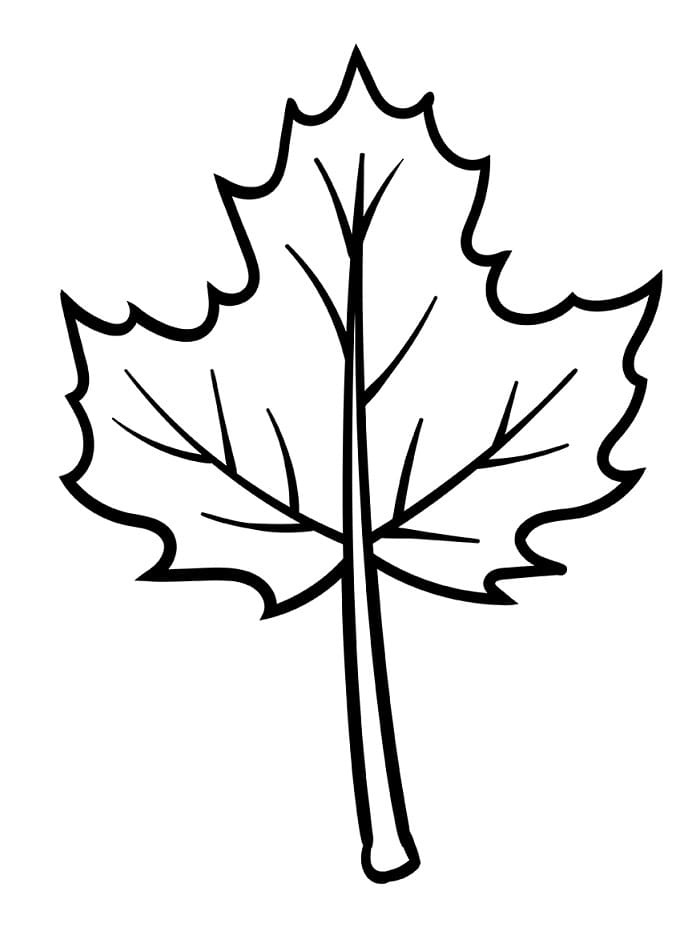 Foglia Bellissima da colorare