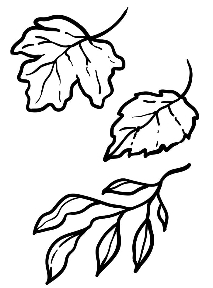 Foglia Fantastica da colorare