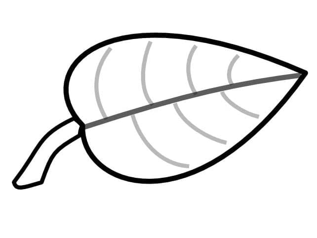 Foglia Libera da colorare