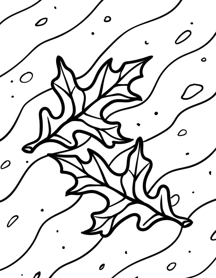 Foglia Meravigliosa da colorare