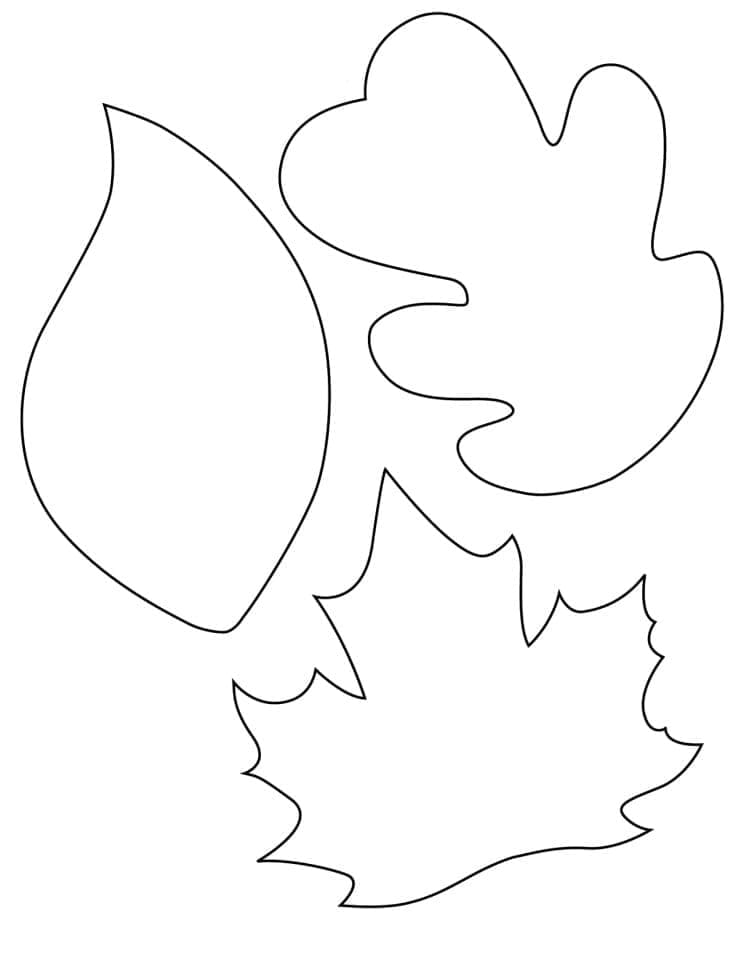 Foglia Stampabile per Bambini da colorare