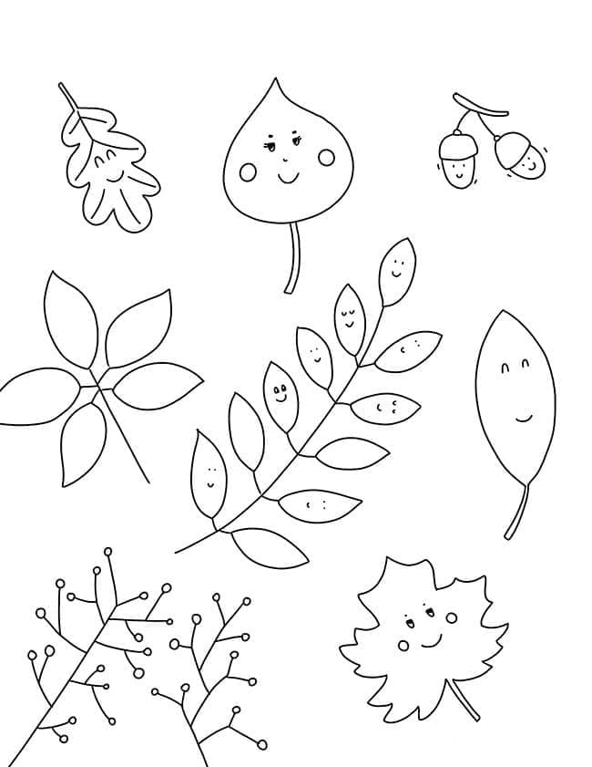 Foglia per Bambini di 1 Anno da colorare