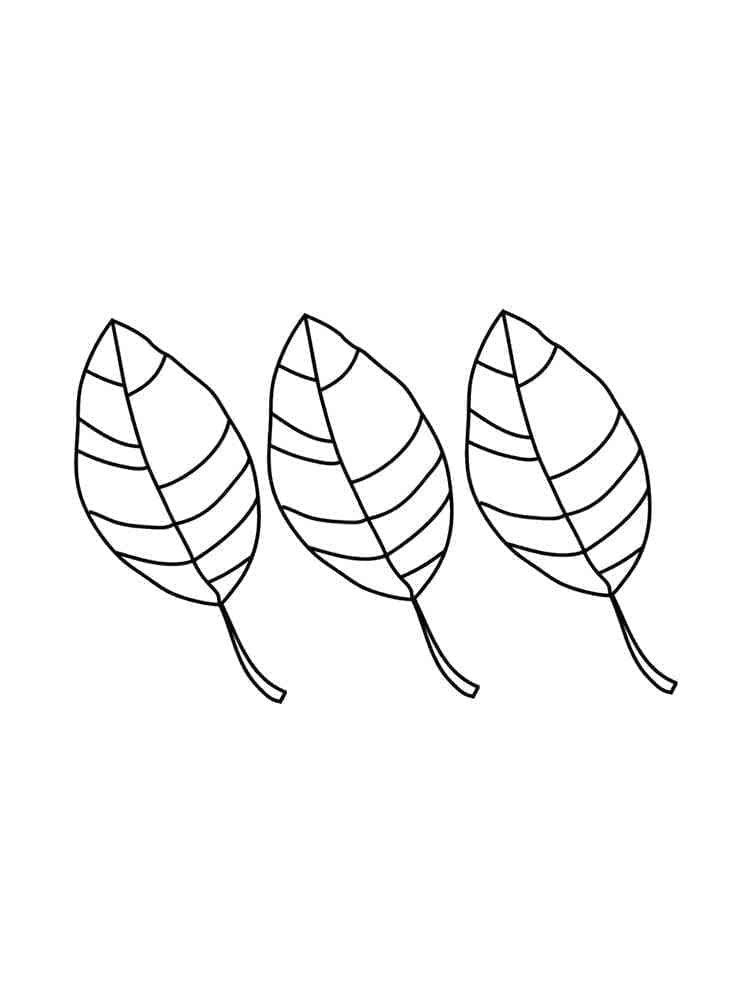 Foglia per Bambini di 3 Anni da colorare