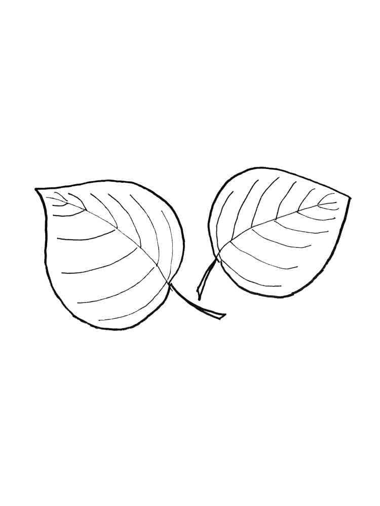 Foglia per Bambini di 6 Anni da colorare
