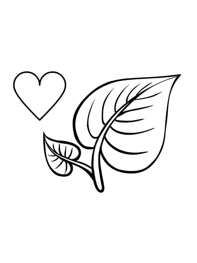 Foglia da colorare