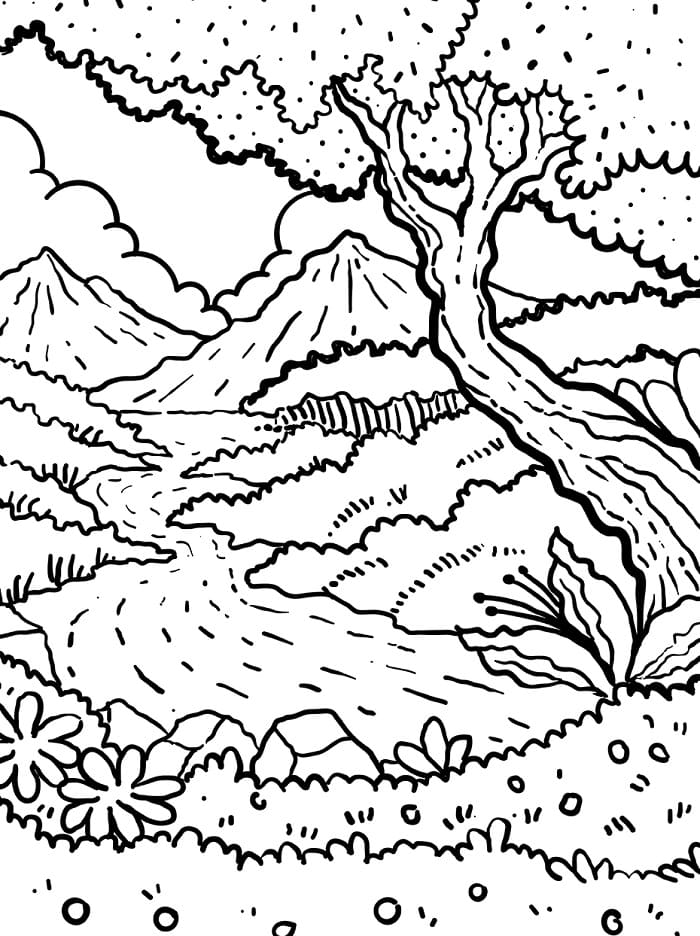 Foresta Bellissima da colorare