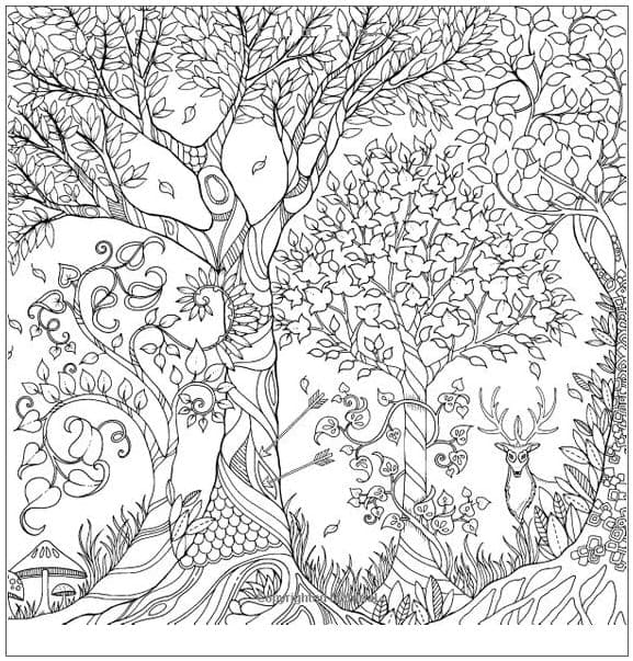 Foresta Stampabile Libera da colorare