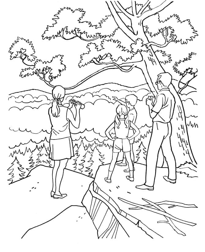 Foresta Stampabile da colorare