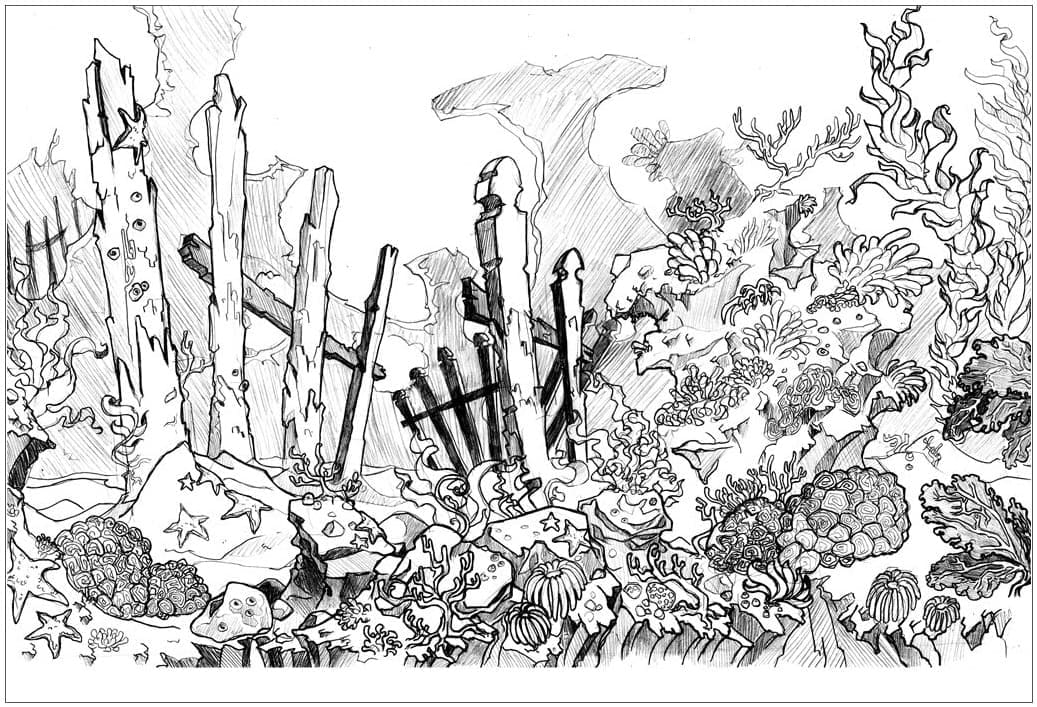 Foresta per Bambini di 3 Anni da colorare