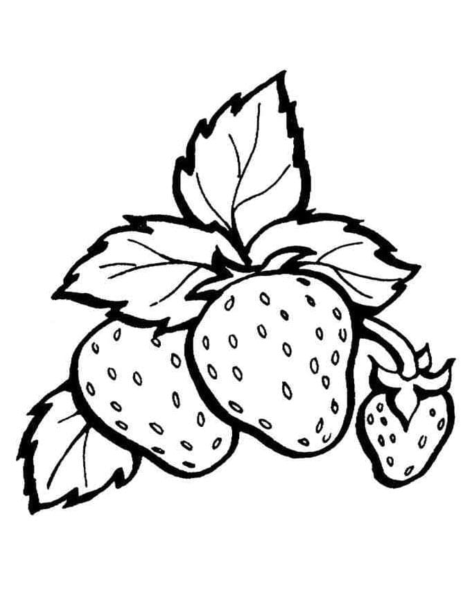 Fragola Libera Stampabile da colorare