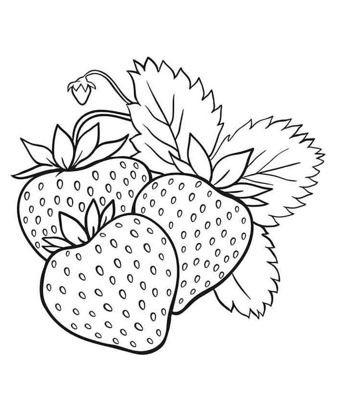 Fragola Stampabile Gratuita da colorare