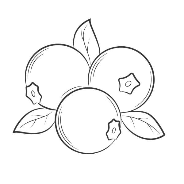 Frutta (5) da colorare