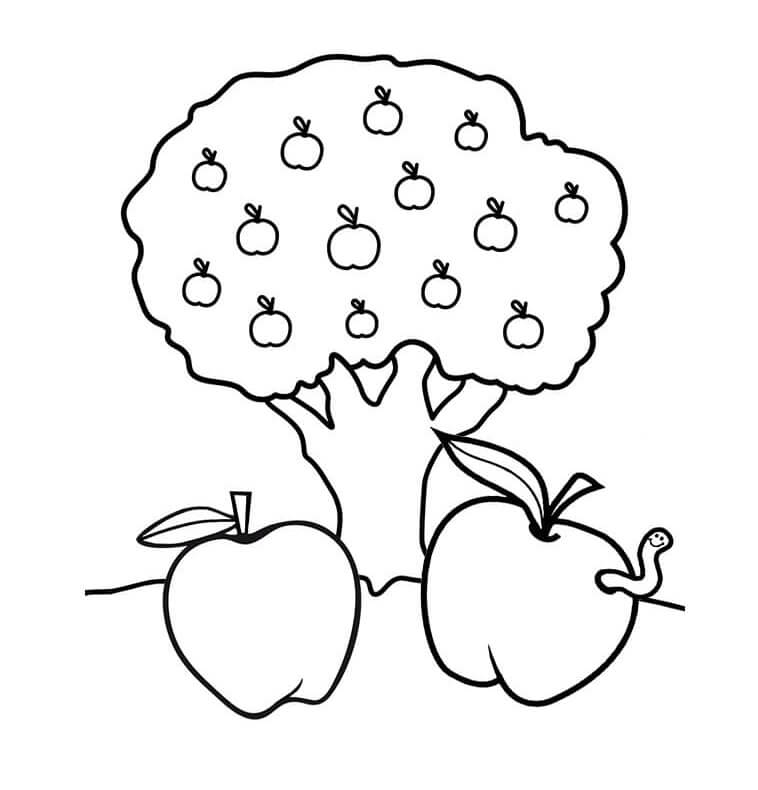 Frutta Gratuita per Bambini da colorare