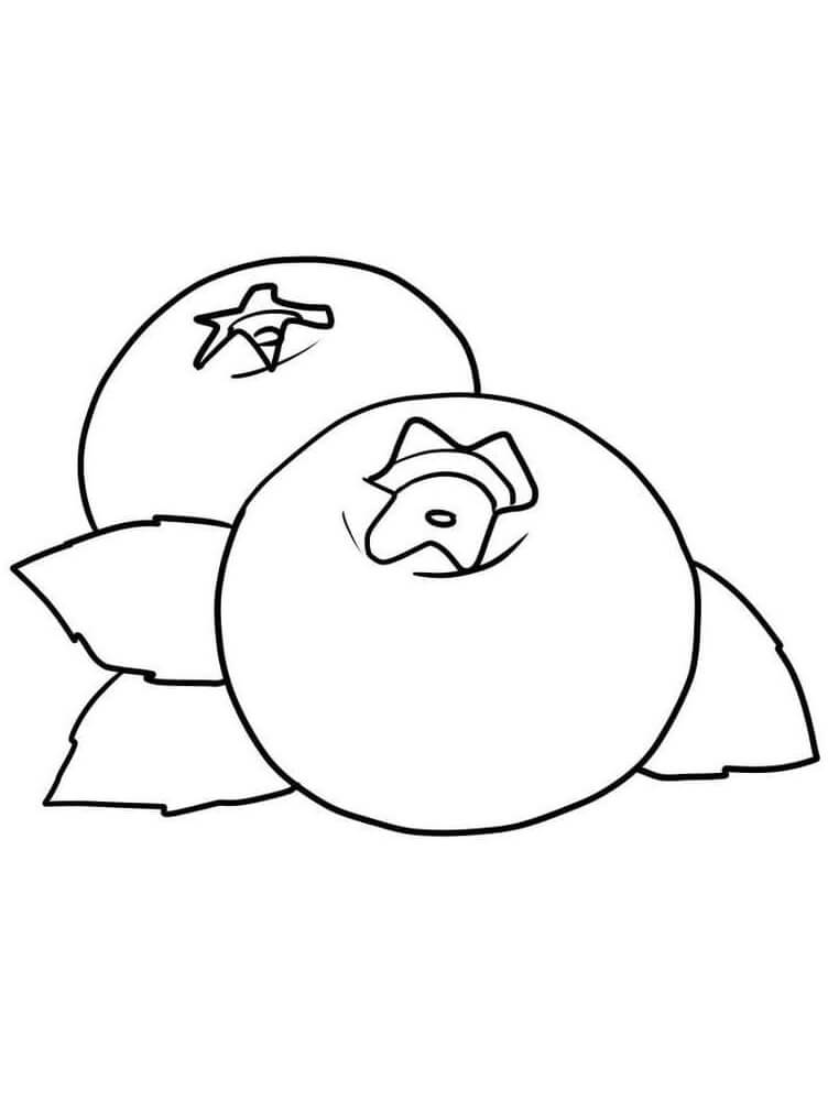 Frutta Immagine Libera da colorare