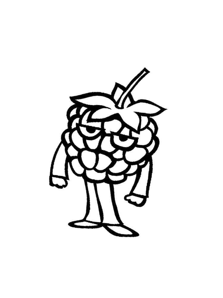 Frutto Lampone da colorare