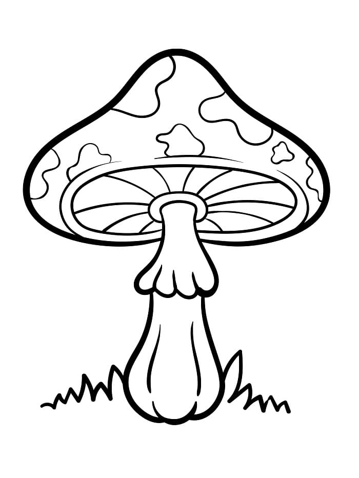 Fungo Adorabile da colorare