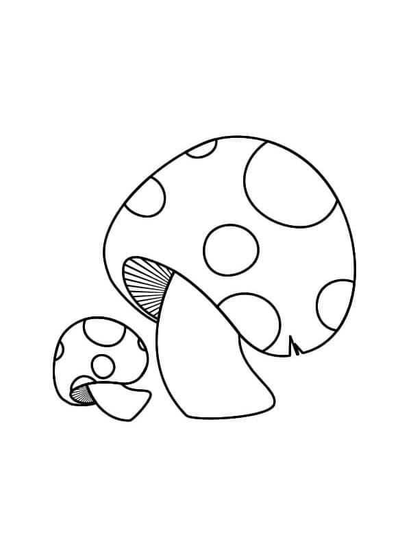 Fungo Facile da colorare