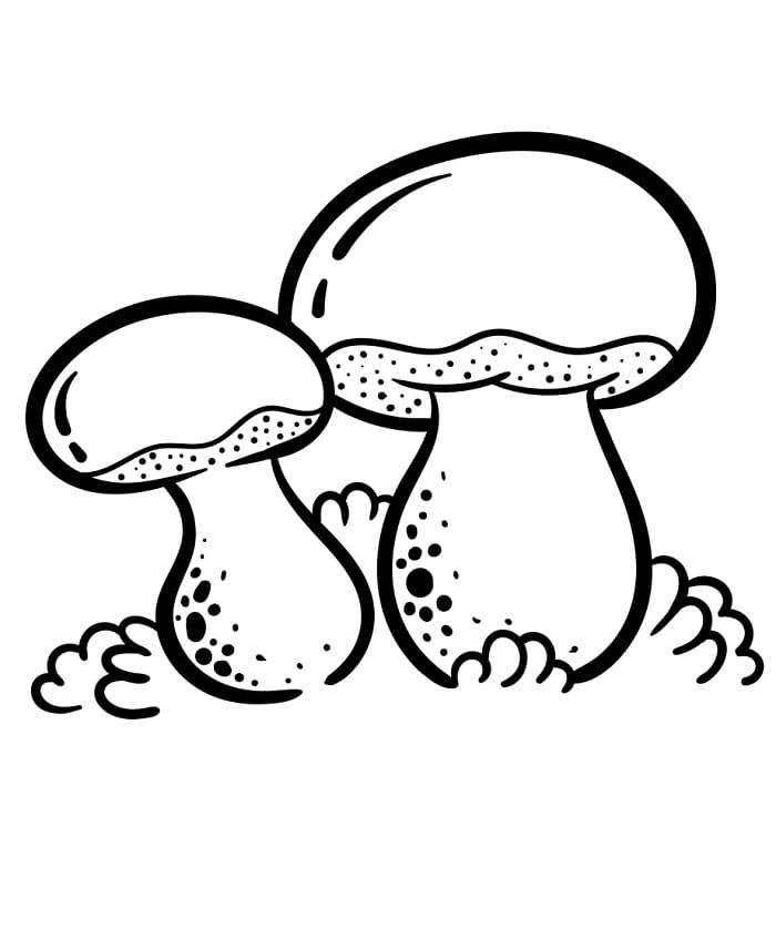 Fungo Molto Carino da colorare