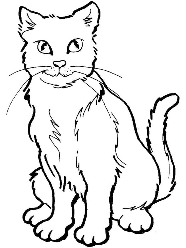 Gatto Gratuito da Stampare da colorare