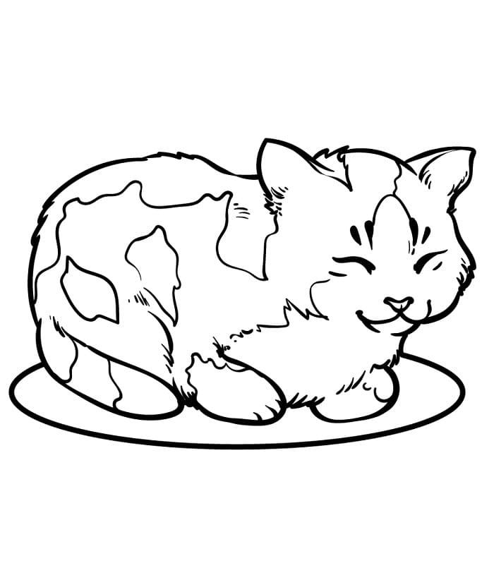 Gatto Normale da colorare