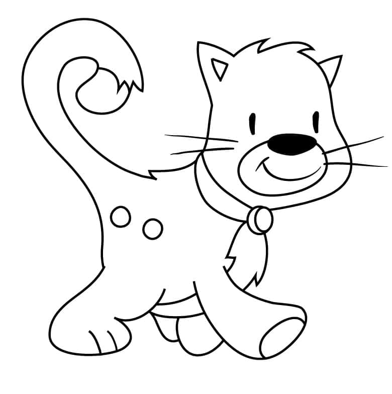 Gatto Regolare da colorare