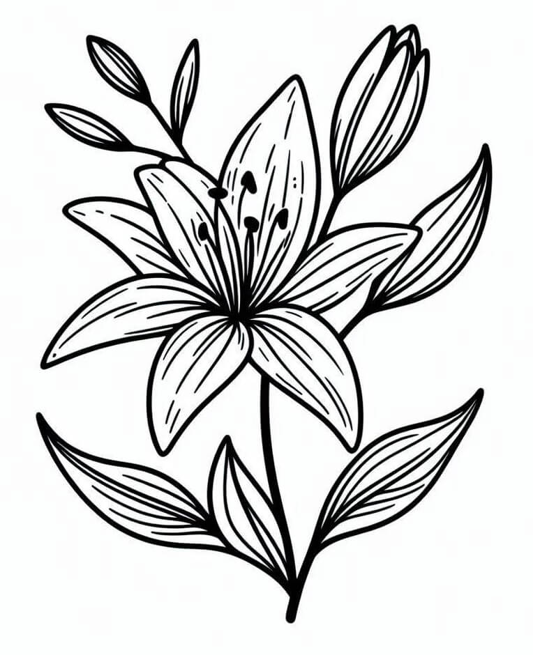 Giglio Bellissimo da colorare