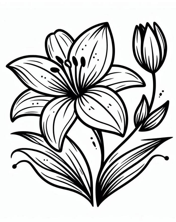 Giglio Molto Bellissimo da colorare