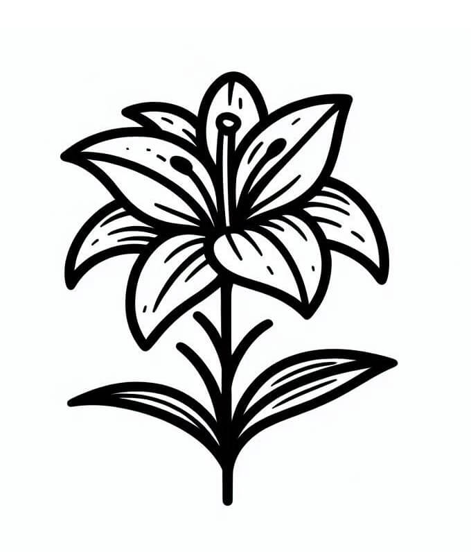 Giglio Normale da colorare