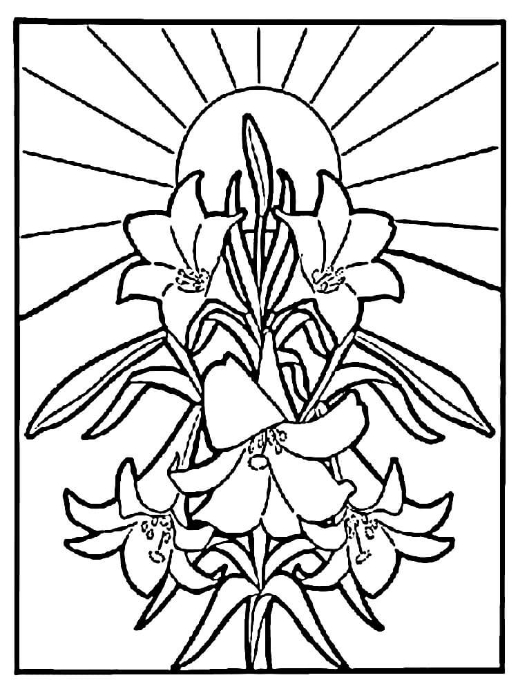 Giglio Stampabile da colorare