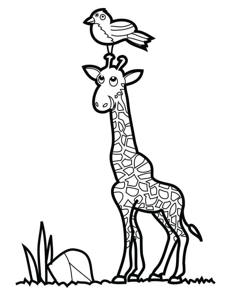 Giraffa Animata da colorare