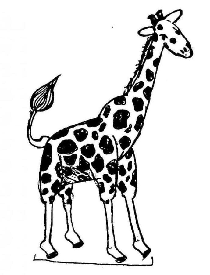 Giraffa Facile da colorare